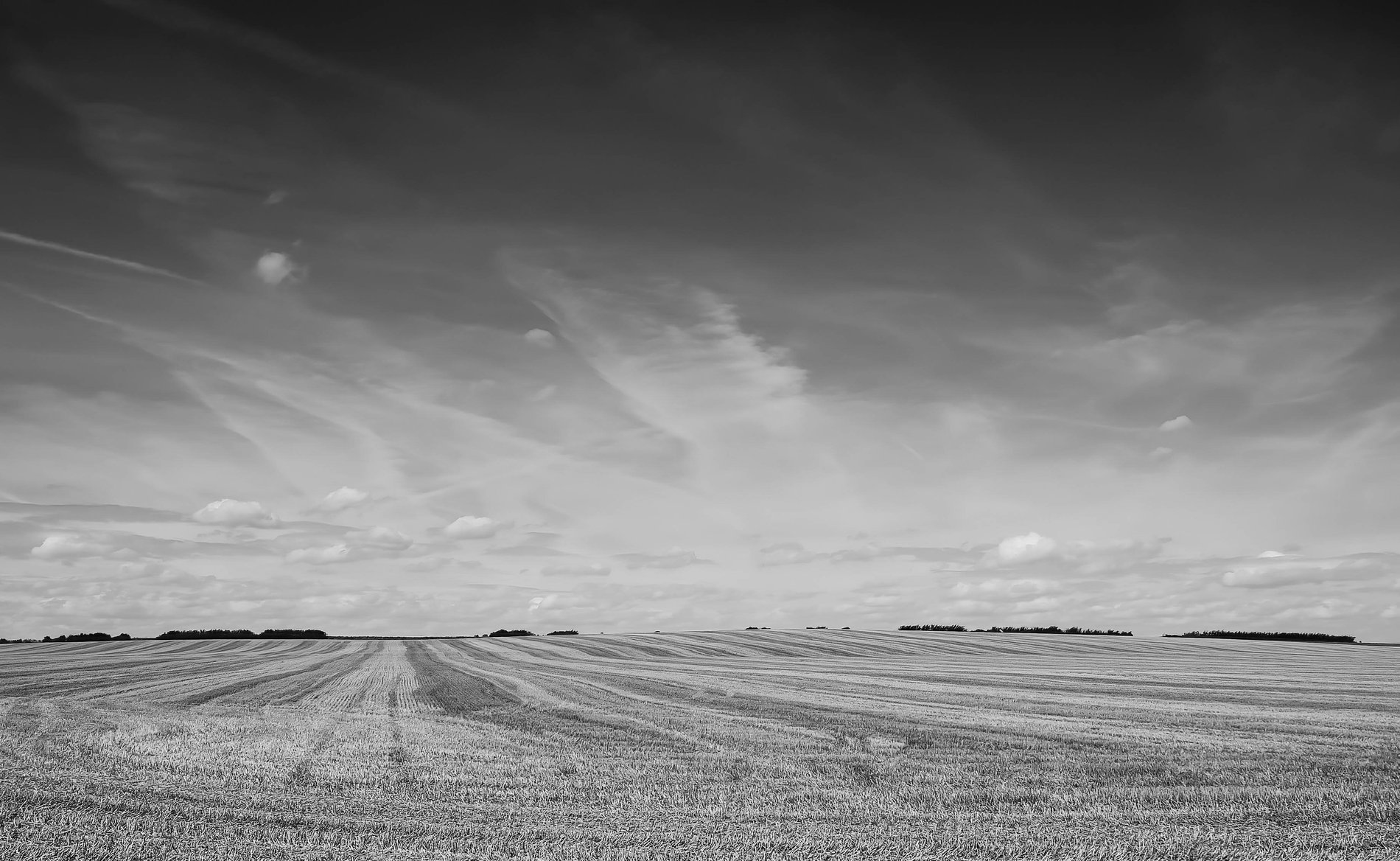After the Harvest, Cambridgeshire
