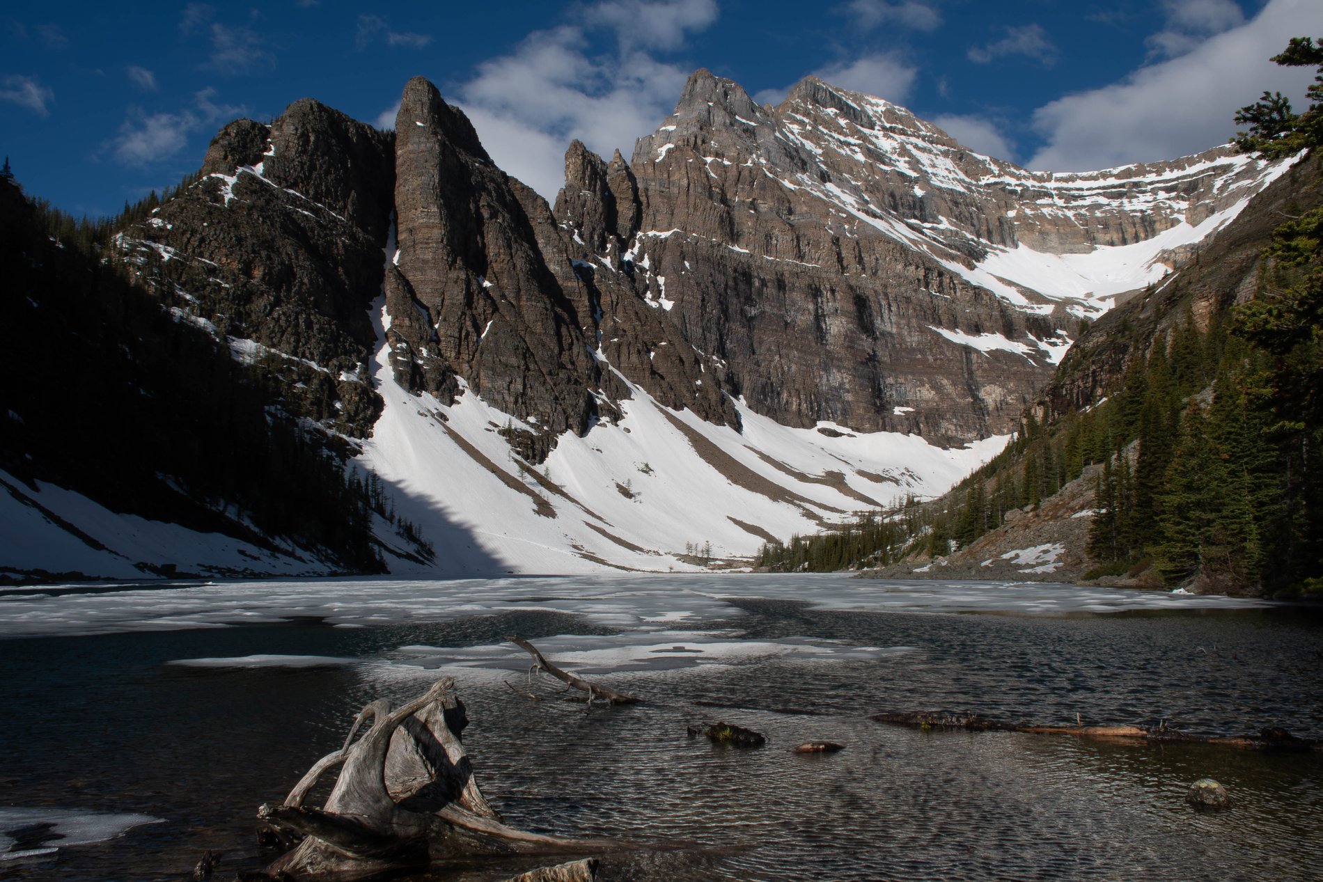 Driftwood and Ice at Lake Agnes, Alberta