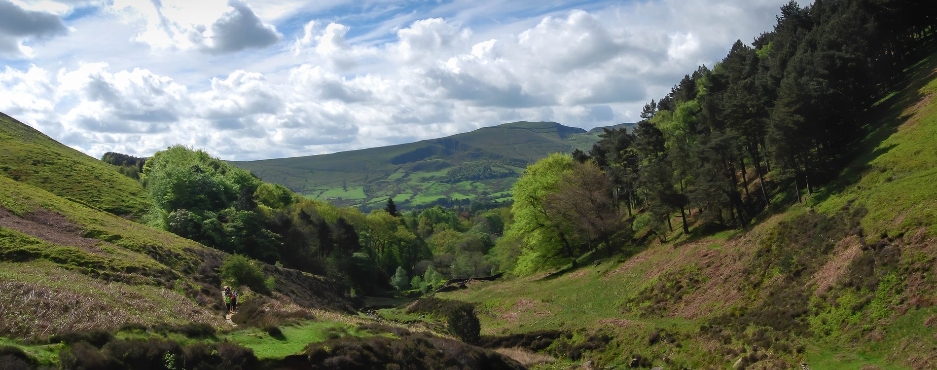 Wooded Valley in Edale, Peak District