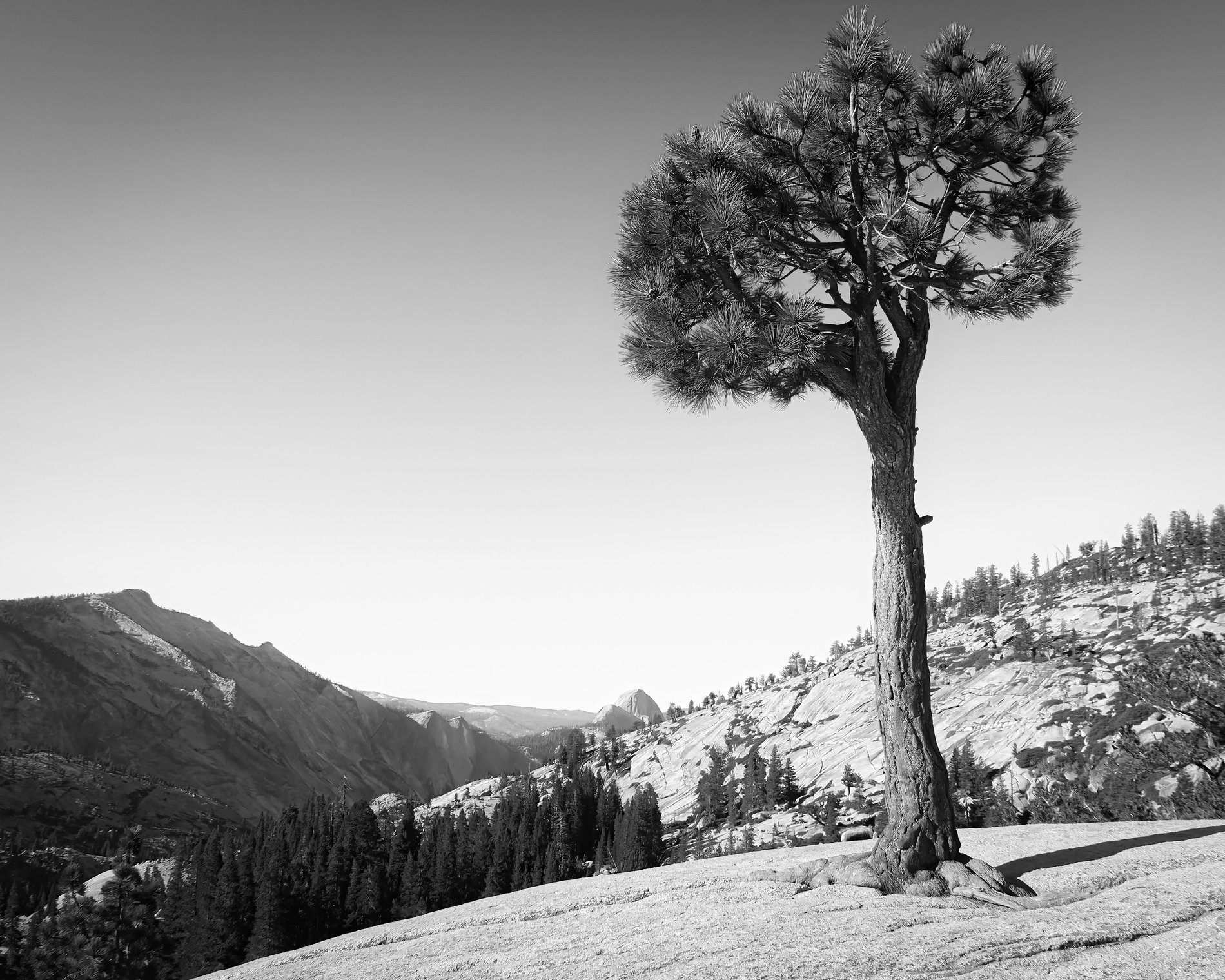 Half Dome, Yosemite, California