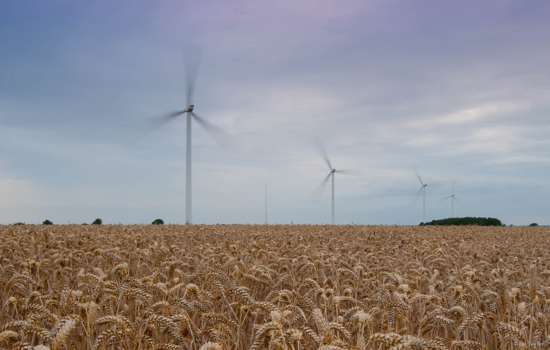 Wind Turbines at Harvest, Cambridgeshire