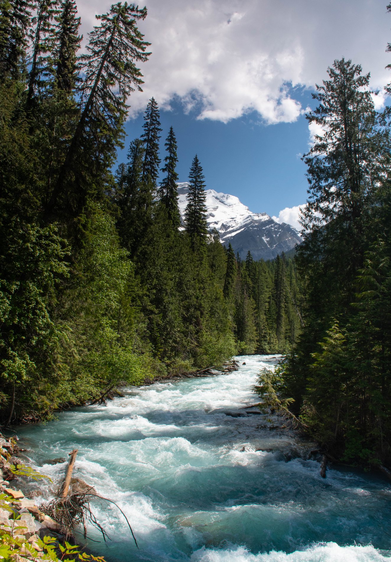 Mount Robson Glimpsed Above the Gushing River, British Columbia