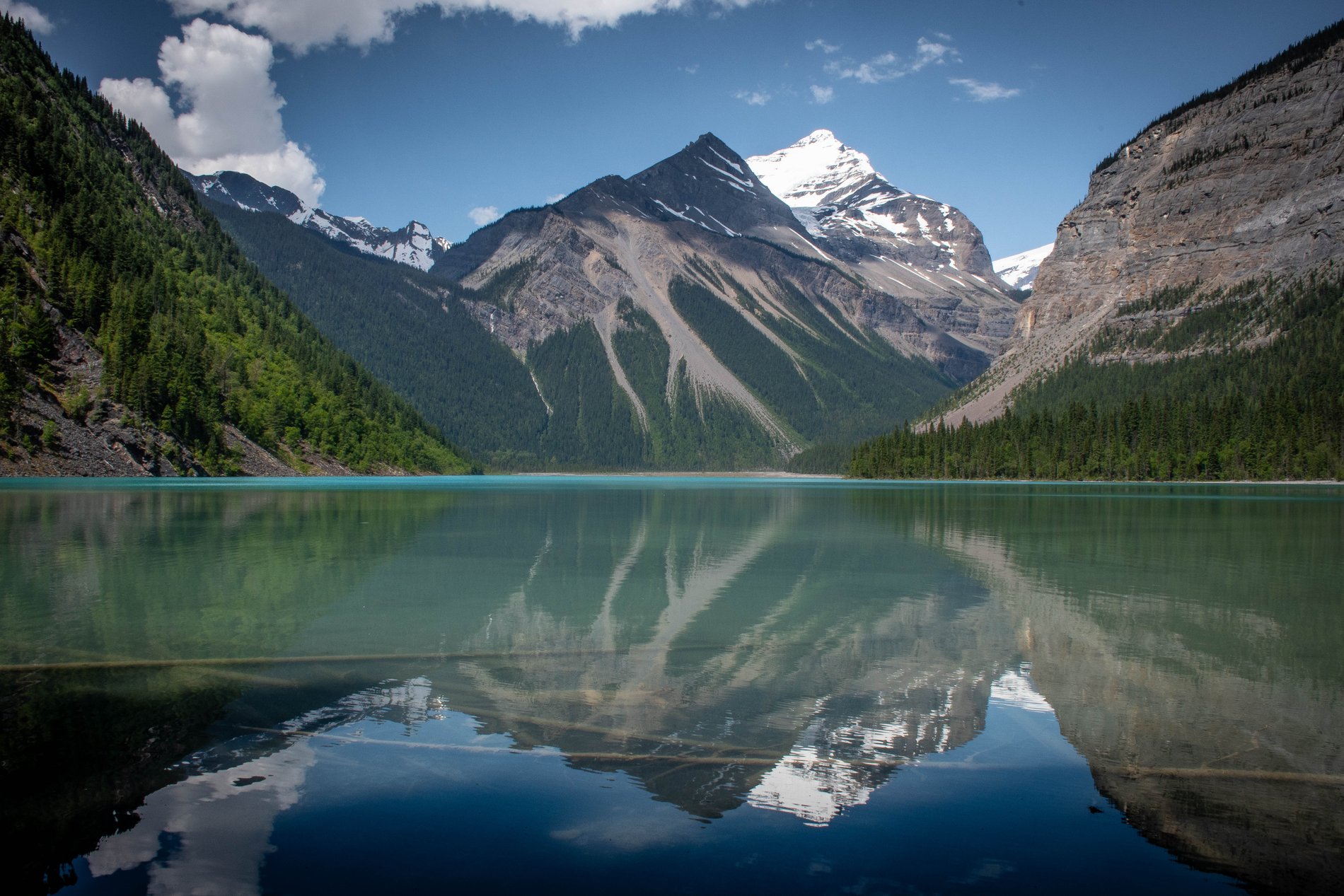 Sunken Timber in Kinney Lake's Clear Water, British Columbia