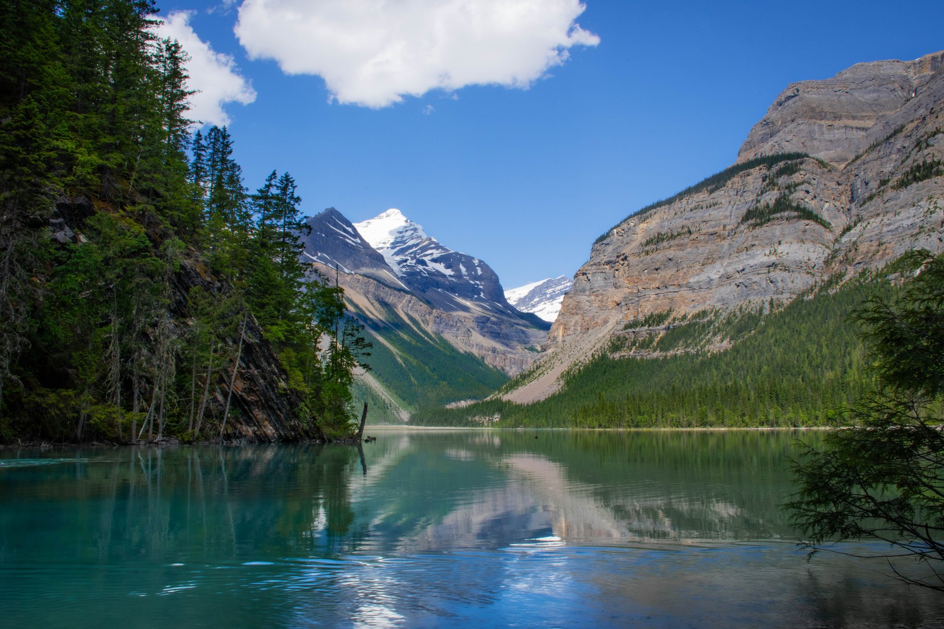 Turquoise Stillness at Kinney Lake, British Columbia
