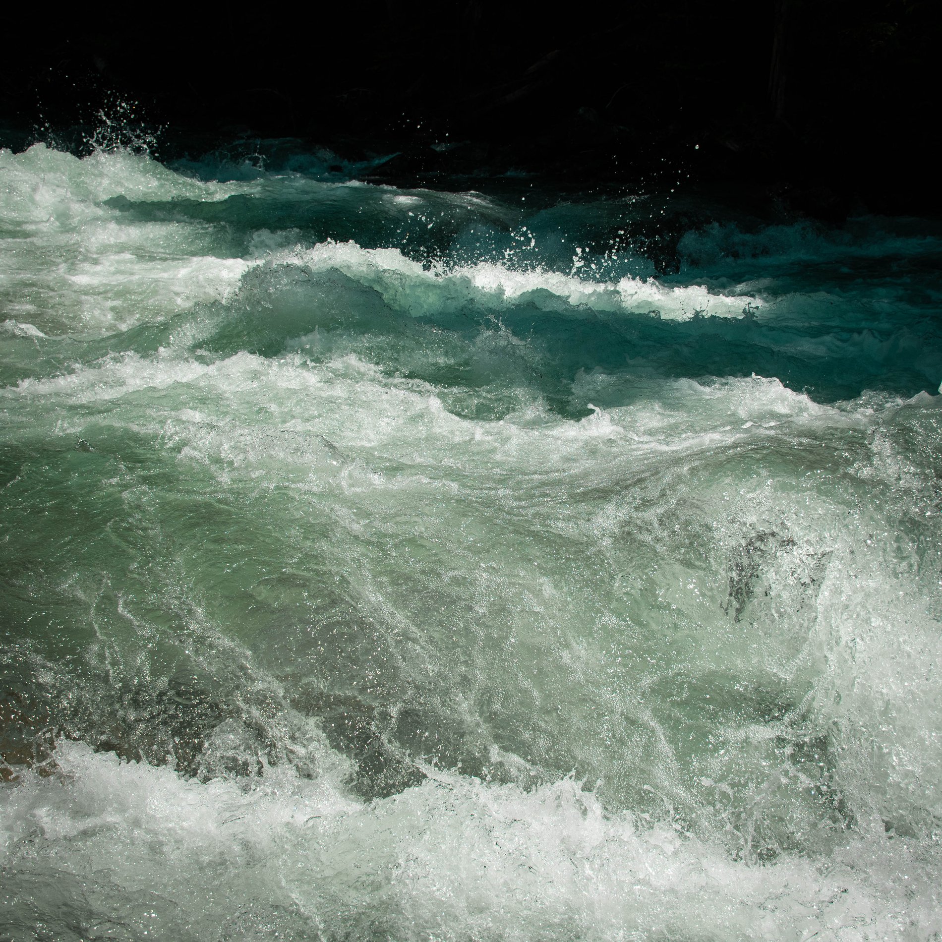 Close Study of the Robson Rapids, British Columbia