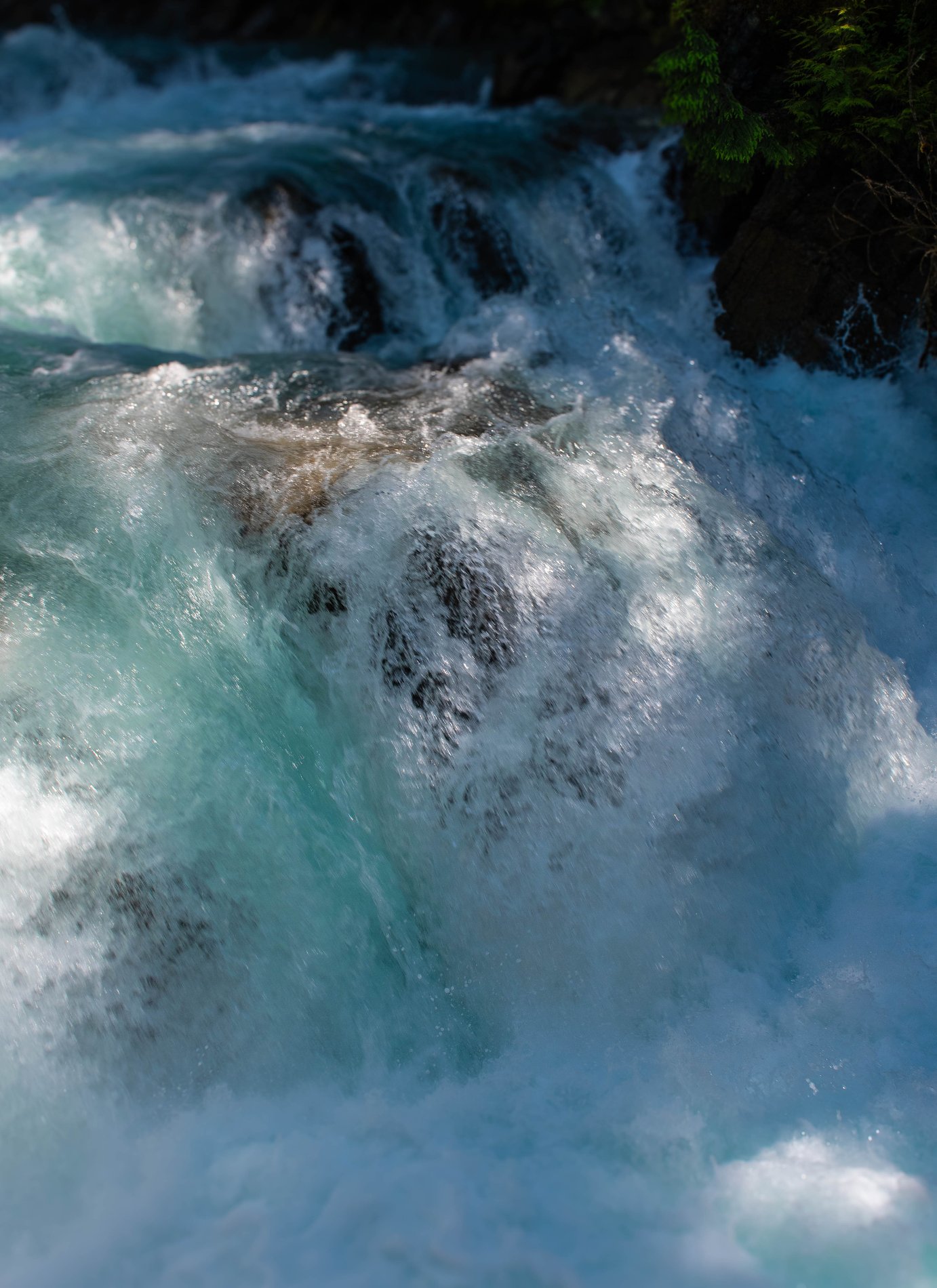 Whitewater Rapids on the Robson River, British Columbia