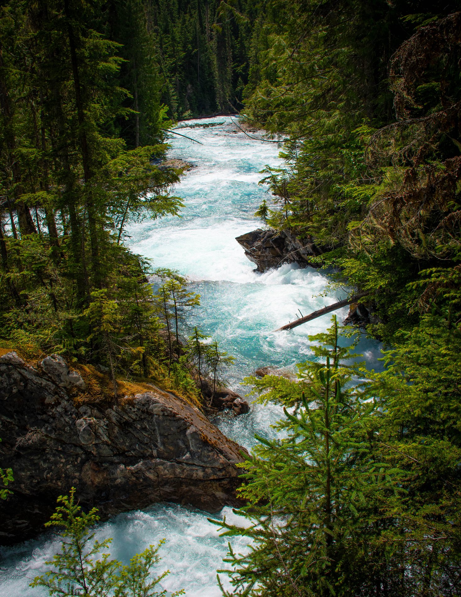 Carving Through the Canyon, Robson River, British Columbia