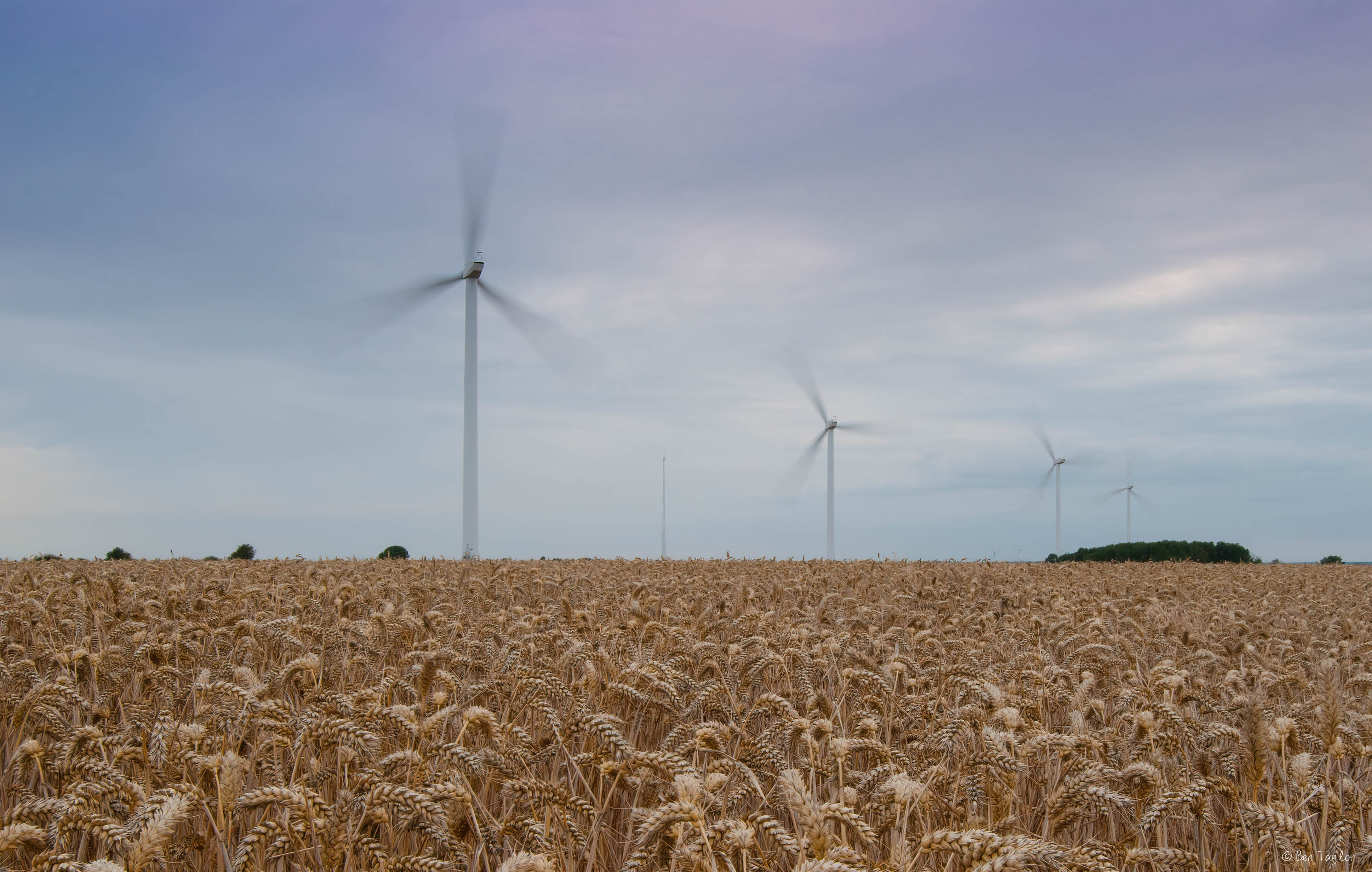 Wind Turbines at Harvest, Cambridgeshire